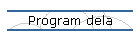 Program dela