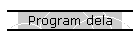 Program dela